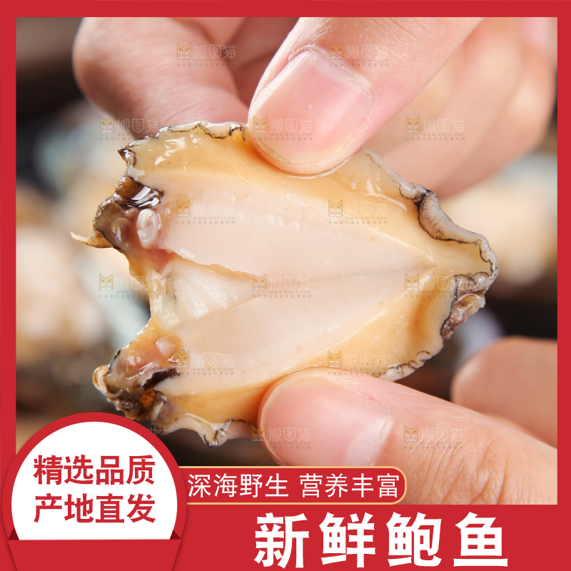 手上拿着鲍鱼