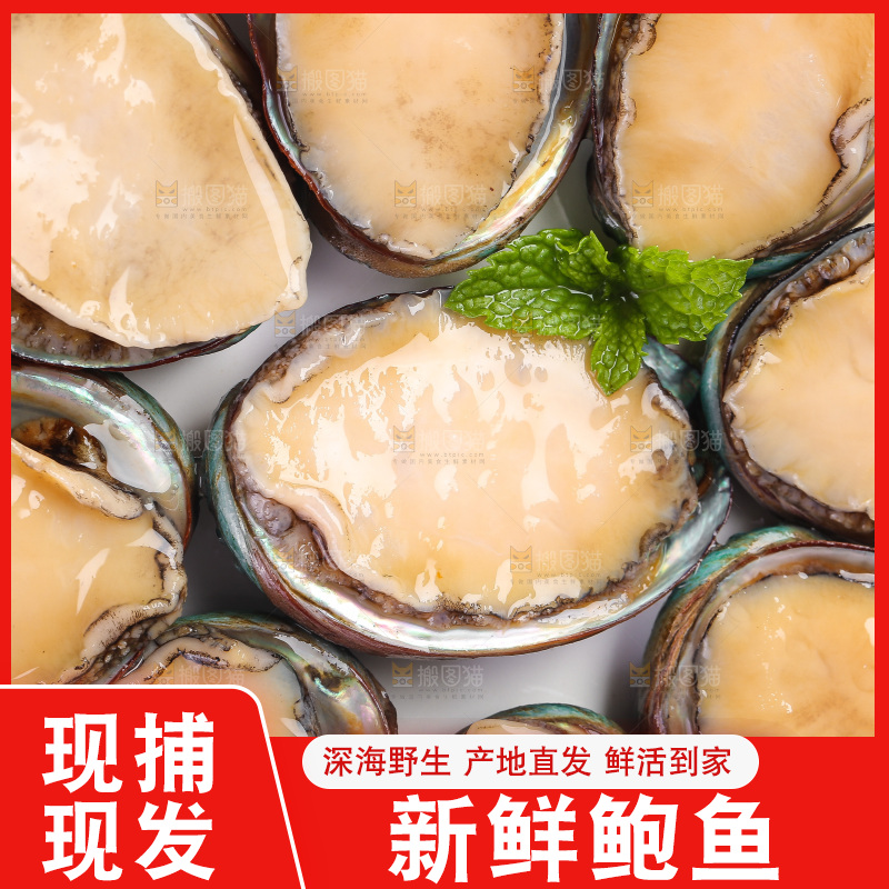 白底上放着一堆鲍鱼
