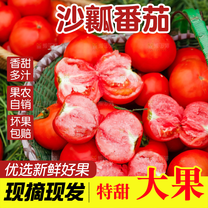 篮子里放着一堆沙瓤西红柿