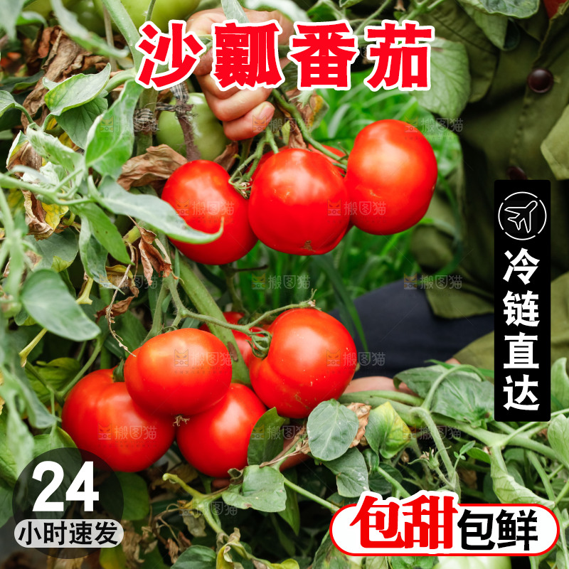 手上拿着西红柿