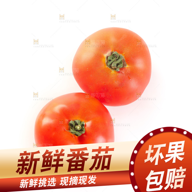 白底上放着西红柿
