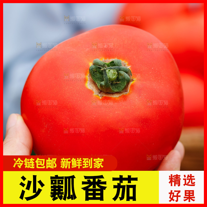 手上拿着沙瓤西红柿