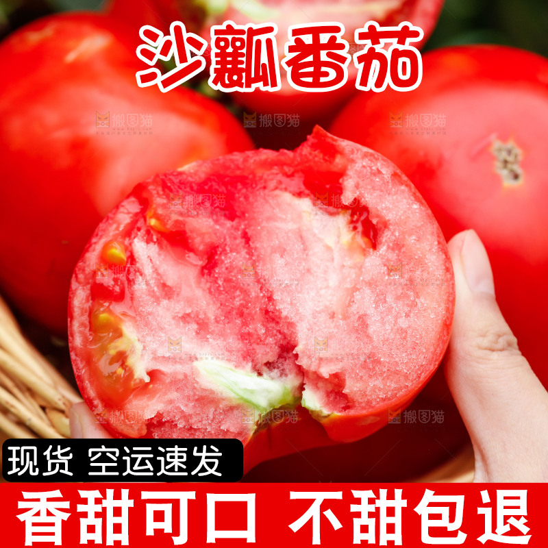 手上拿着沙瓤西红柿