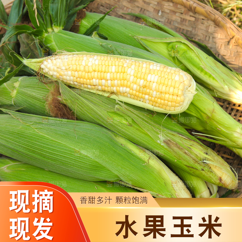 土地上放着一筐玉米