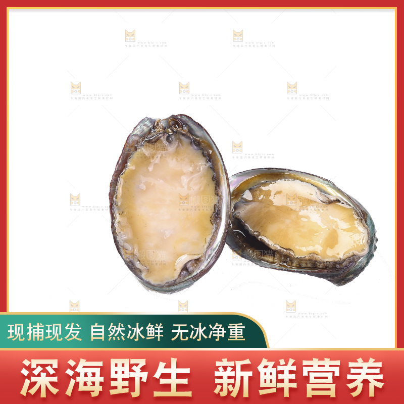 白底上放着鲍鱼