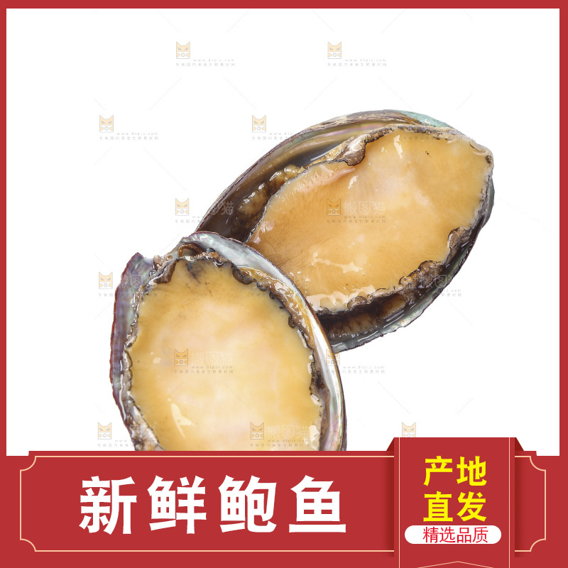 白底上放着鲍鱼