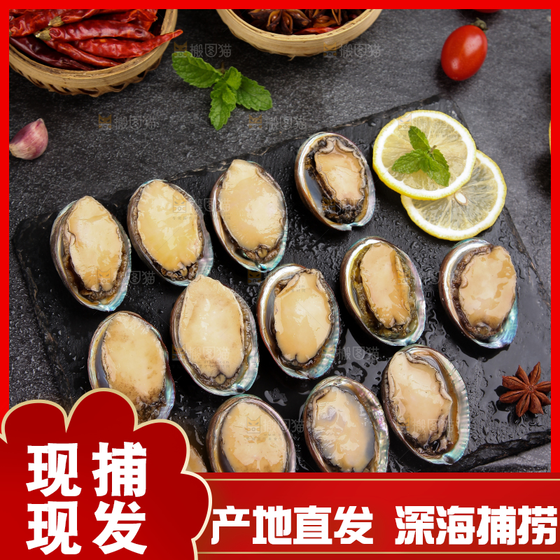 黑板上放着鲍鱼