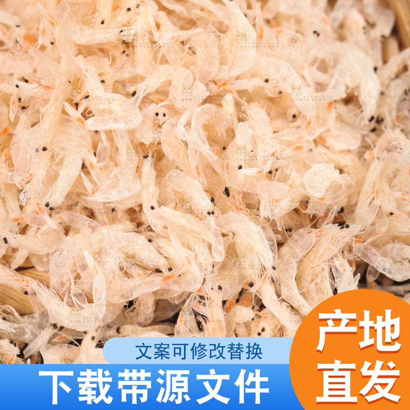 一堆新鲜北海虾皮