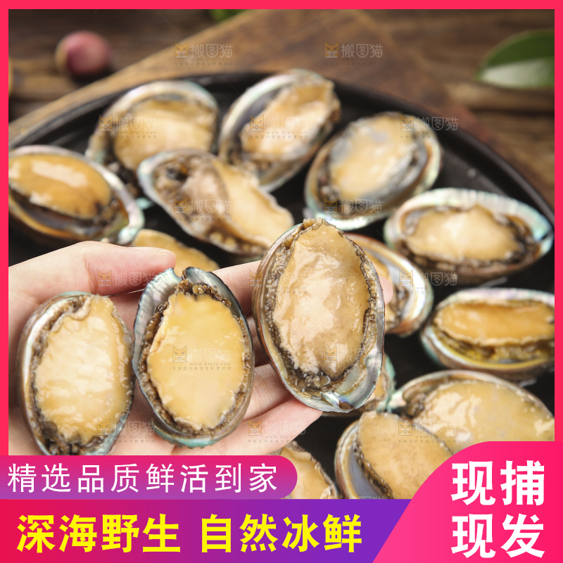 手上拿着鲍鱼