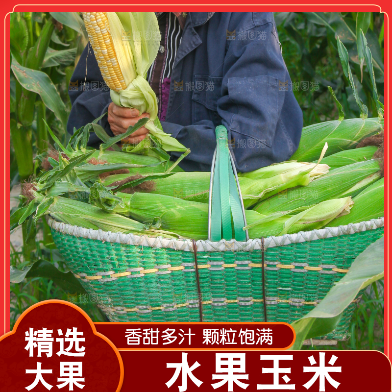 篮子里放满水果玉米