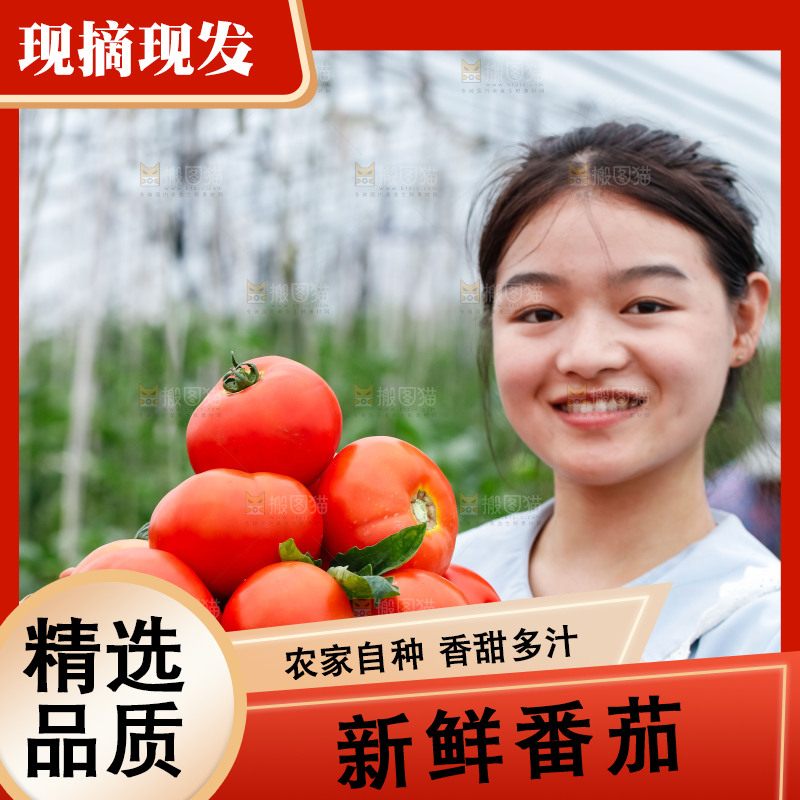 女孩手上端着一篮沙瓤西红柿