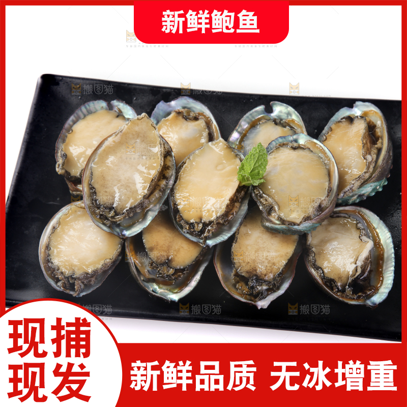 盘子里放着鲍鱼