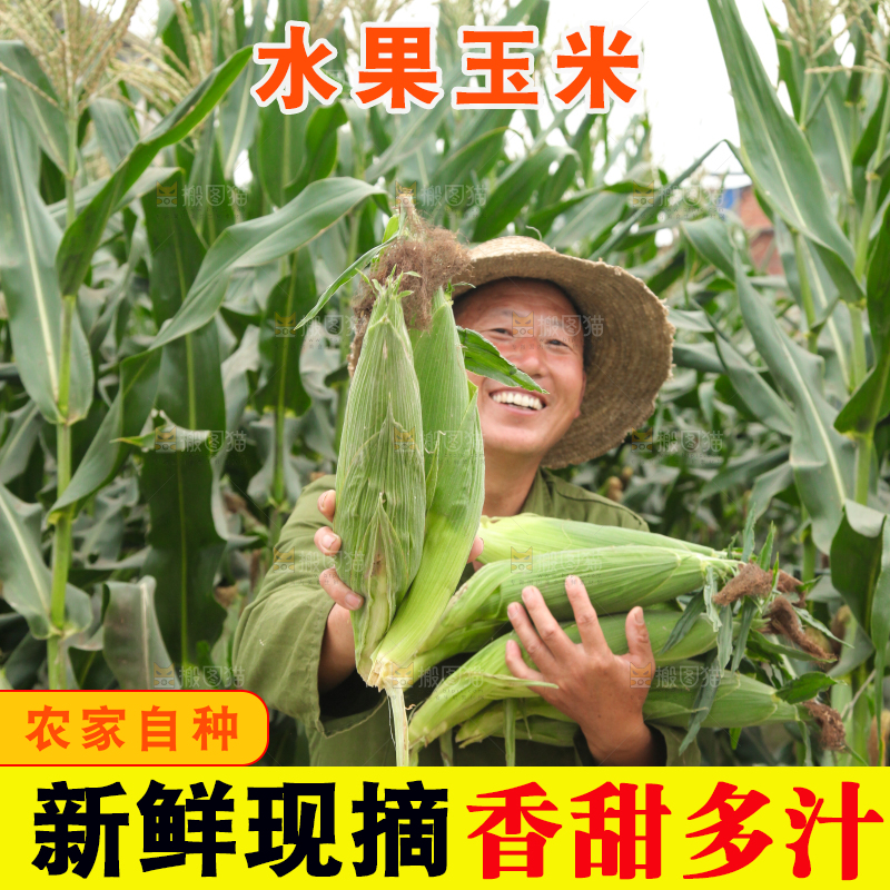 农民抱着水果玉米