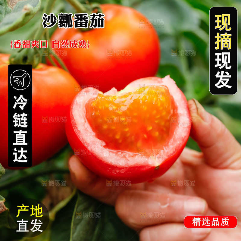手上拿着沙瓤西红柿