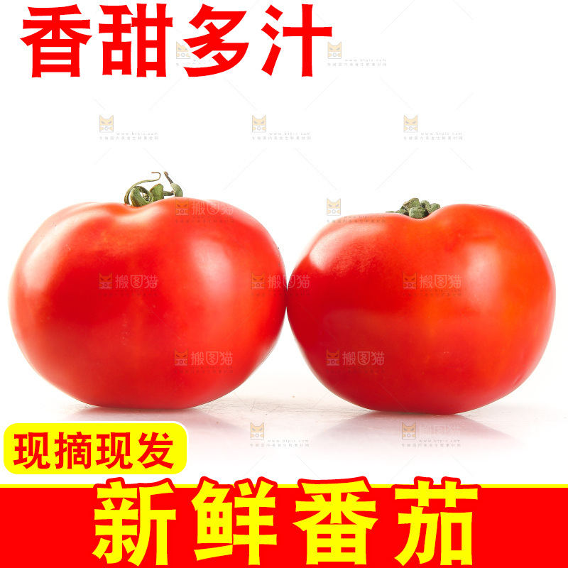 白底上放着西红柿
