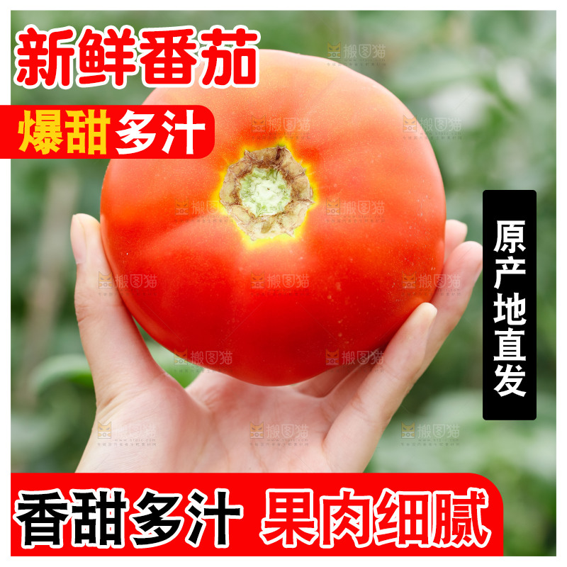 手上拿着西红柿