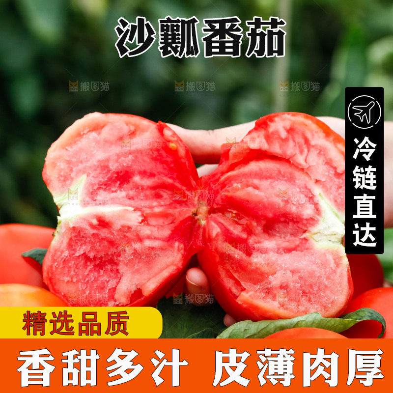 手上拿着沙瓤西红柿