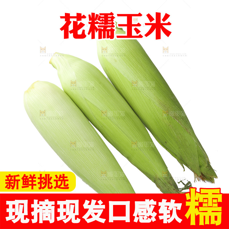 白底上放着一堆花糯玉米