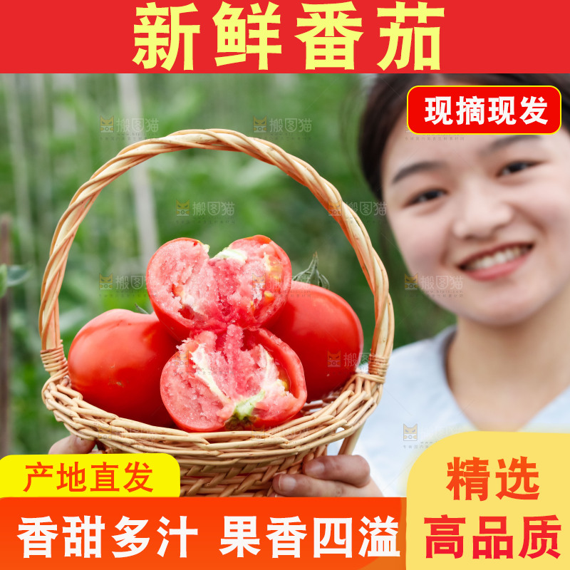 女孩手上拿着沙瓤西红柿