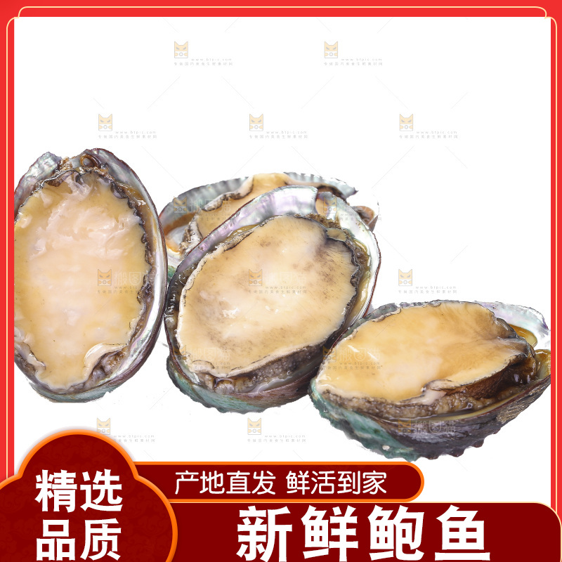 白底上放着一堆鲍鱼