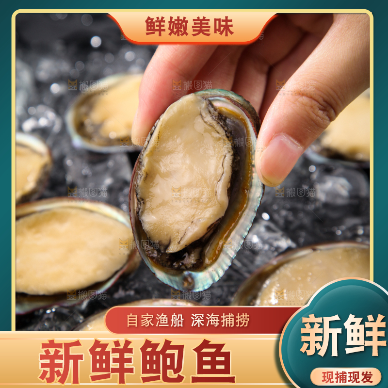 手上拿着鲍鱼