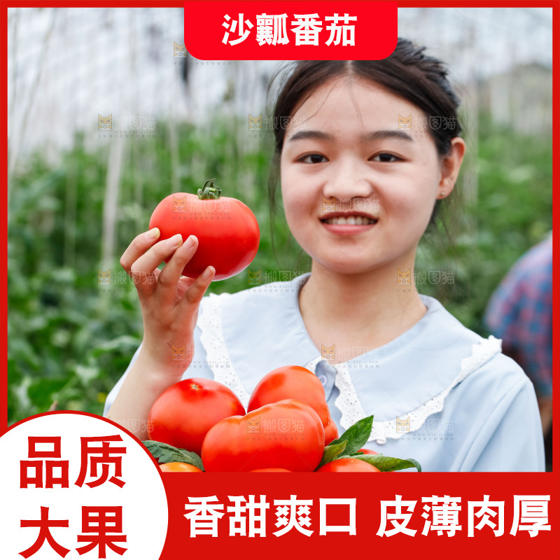 女孩手上端着一篮沙瓤西红柿