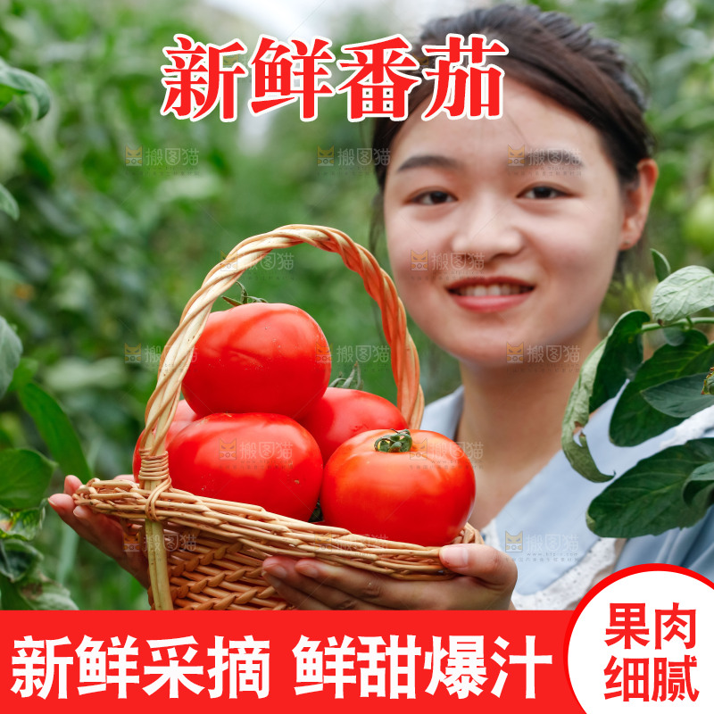 女孩手上拿着沙瓤西红柿