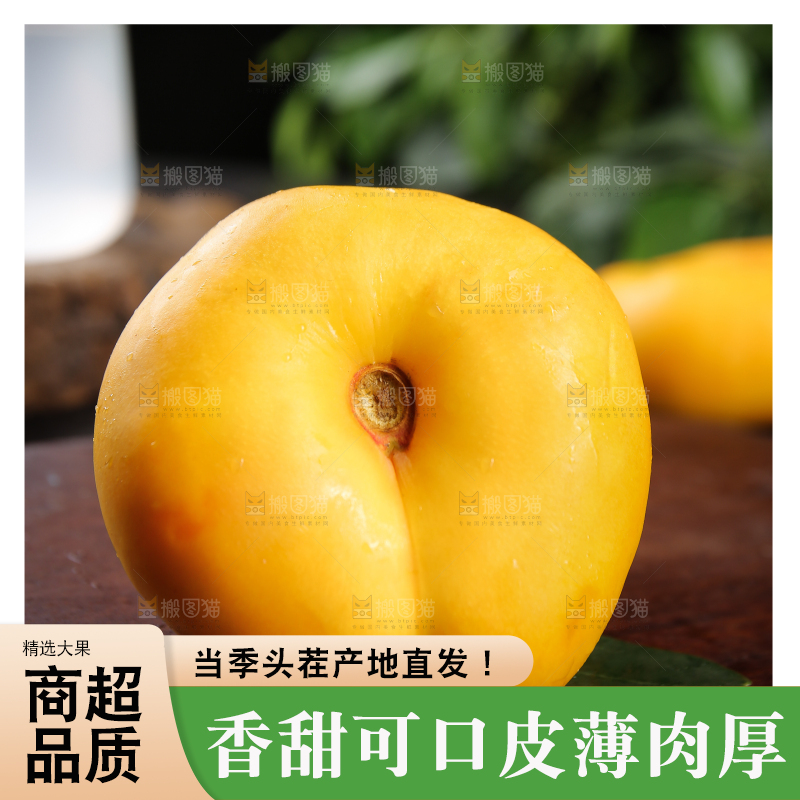 深底上的黄毛蟠桃