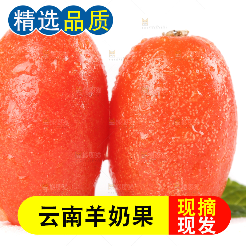 白底上的云南羊奶果
