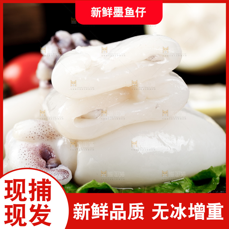 黑底上的鲜冻墨鱼仔