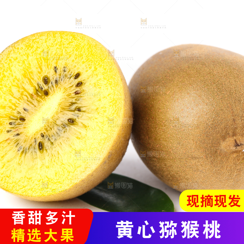 白底上摆放的黄心猕猴桃
