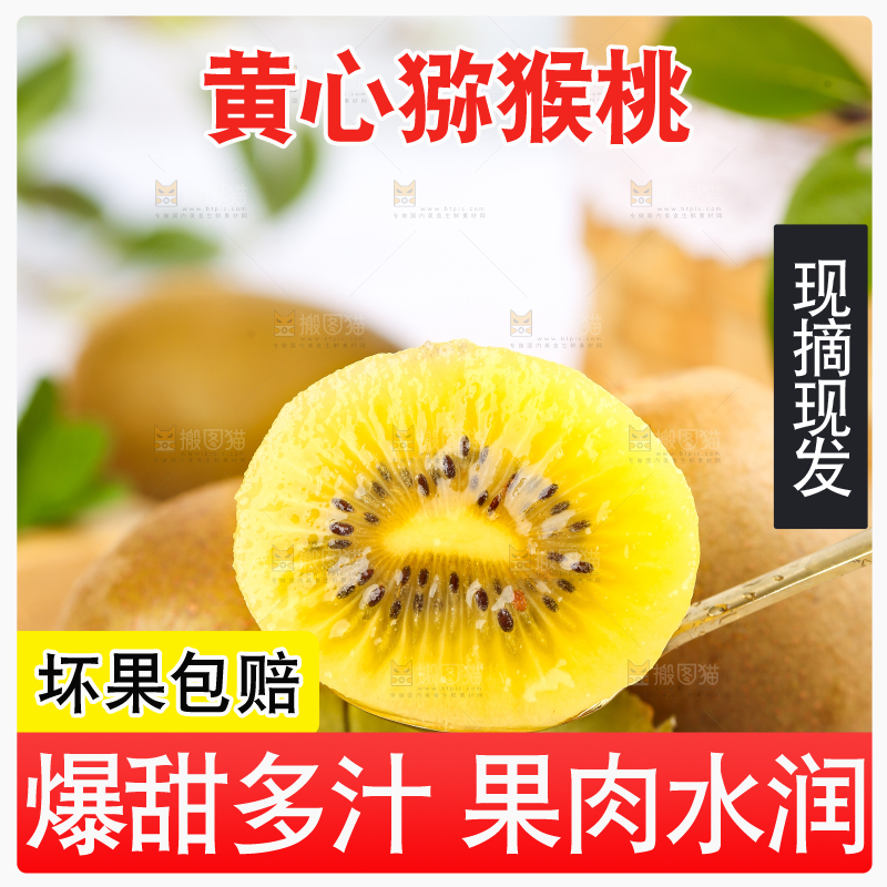 勺子上的黄心猕猴桃果肉