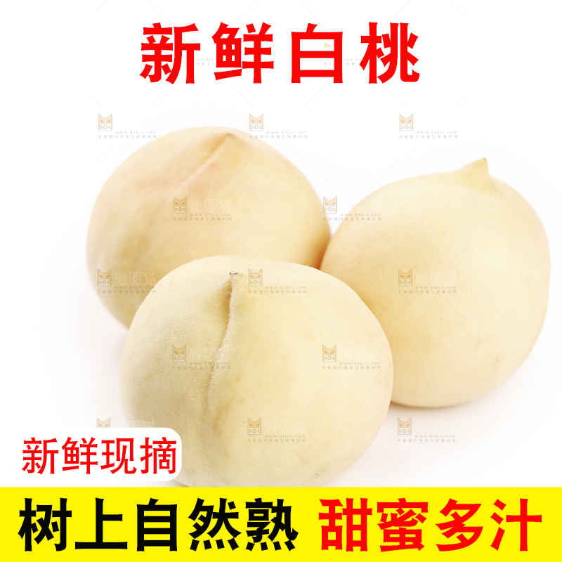 白底上的蒙阴白桃