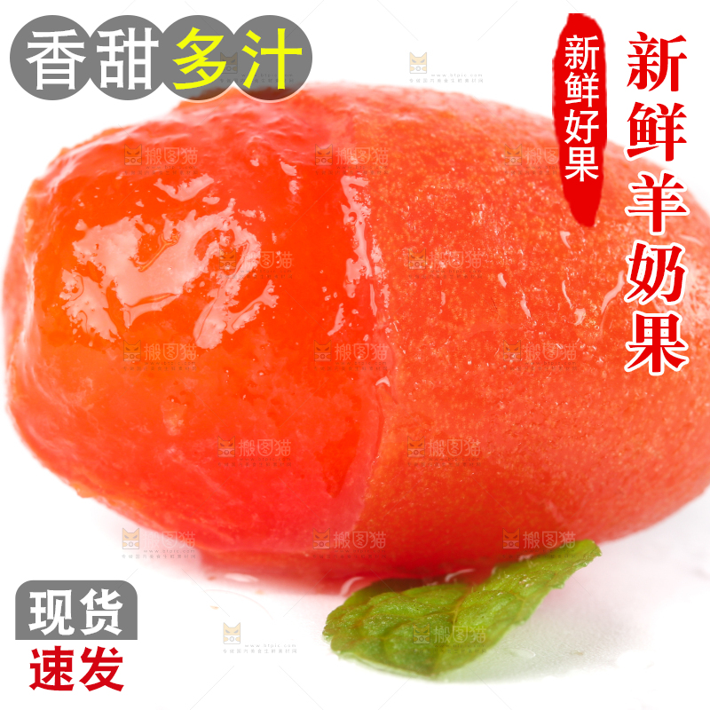 白底上的云南羊奶果