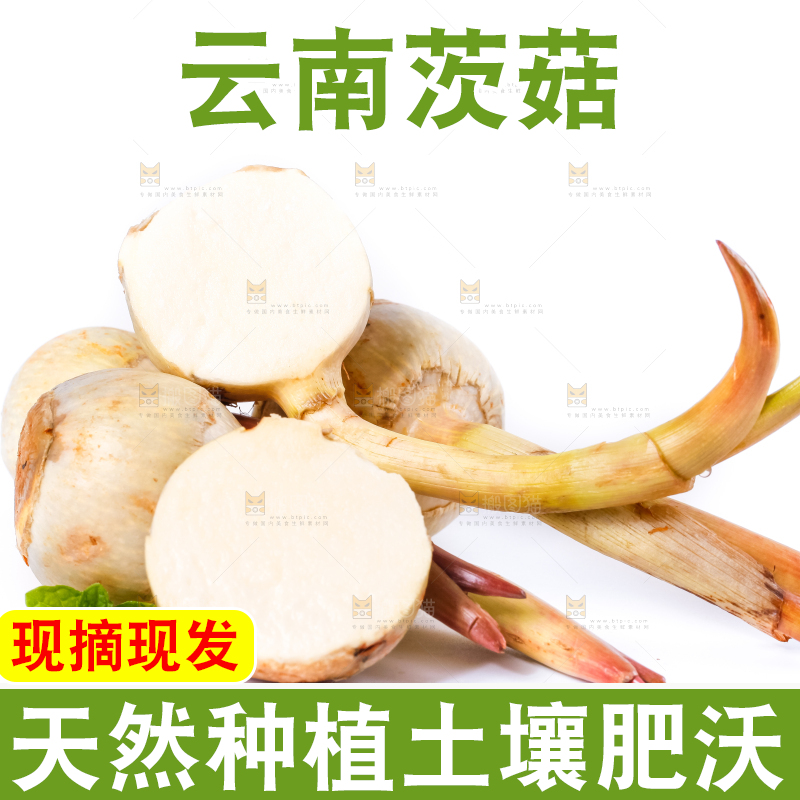 白底上的新鲜茨菇