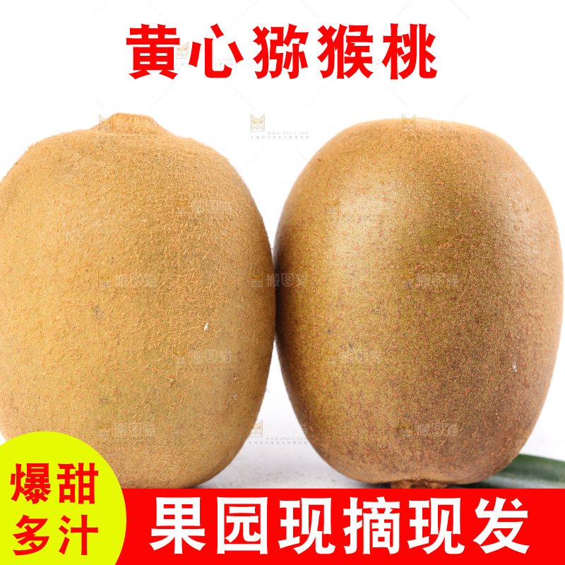 白底上的黄心猕猴桃