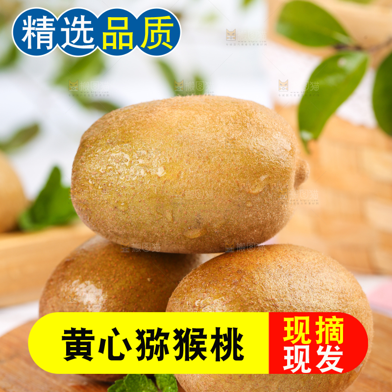 木底上新鲜黄心猕猴桃