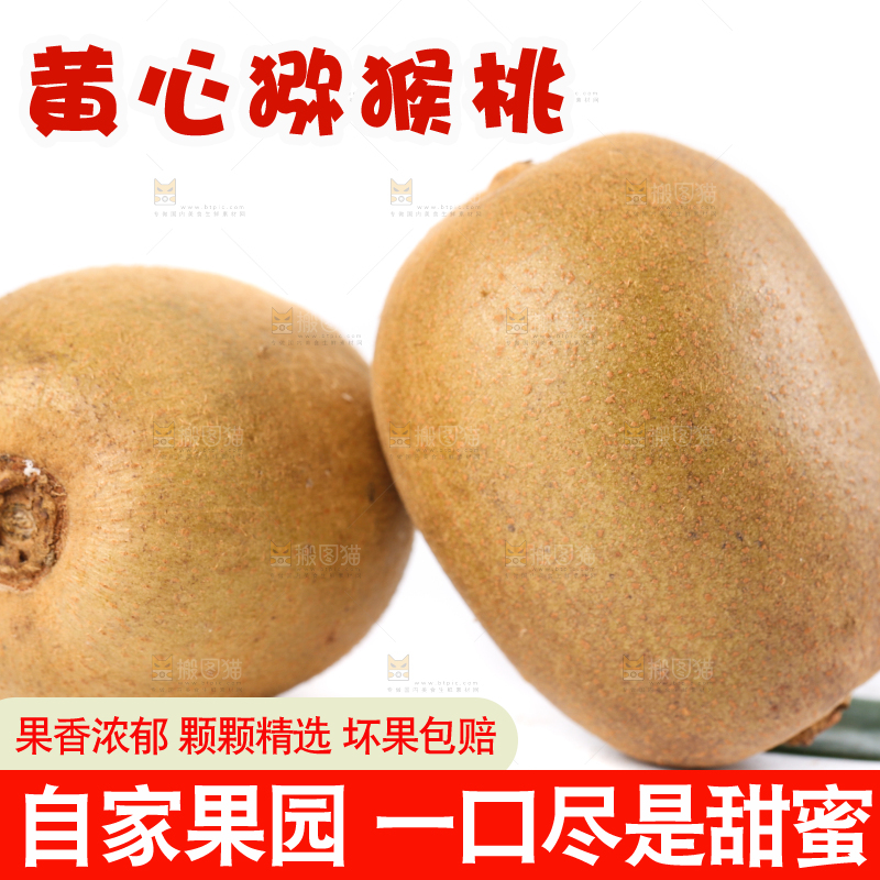 白底上的黄心猕猴桃