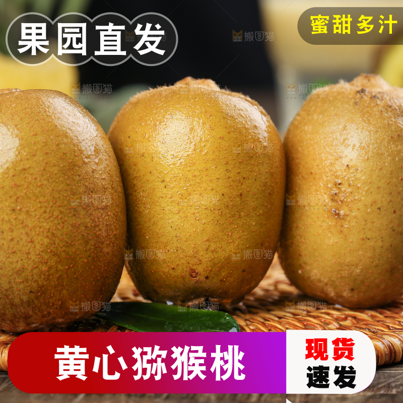 深底上的黄心猕猴桃