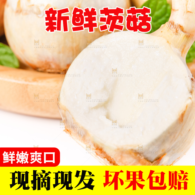 白底上切开的新鲜茨菇