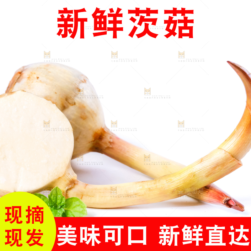 白底上的新鲜茨菇