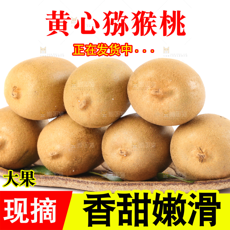 白底上的新鲜猕猴桃