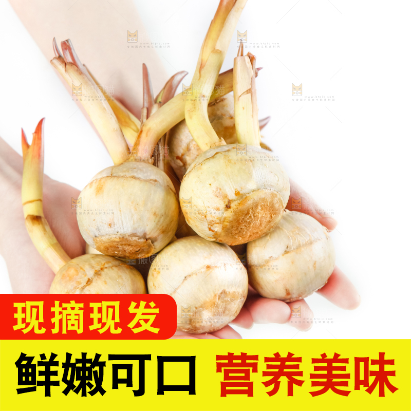 手捧着新鲜白茨菇