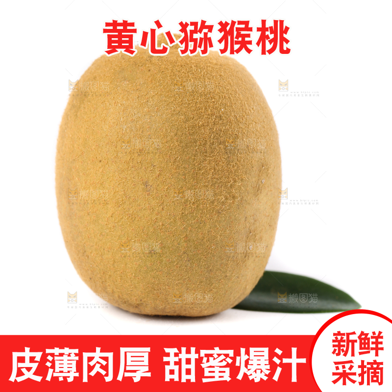 白底上的黄心猕猴桃