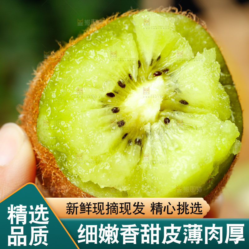 手上拿着新鲜徐香猕猴桃
