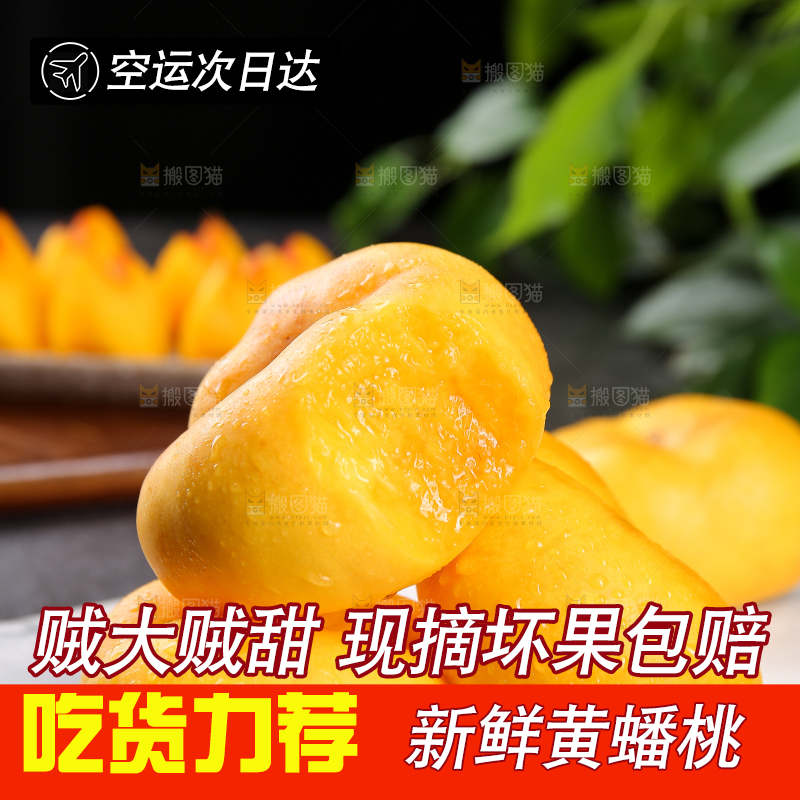 白石板上的黄蟠桃