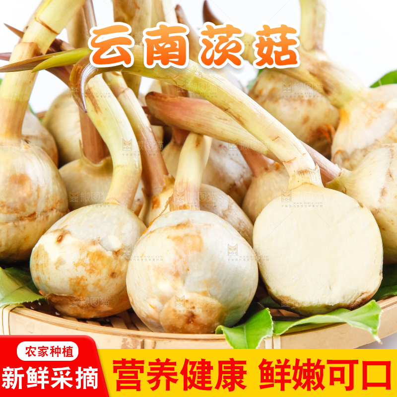 手端着一盘白茨菇