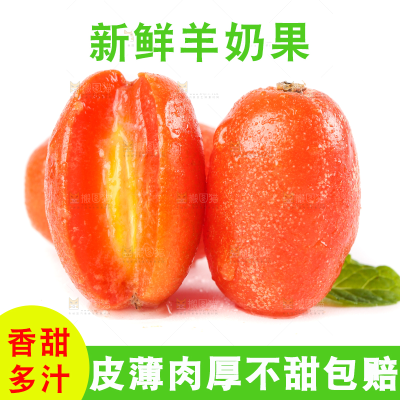 白底上的云南羊奶果