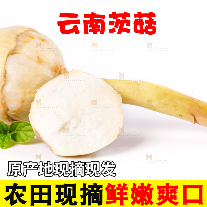 白底上切开的新鲜茨菇