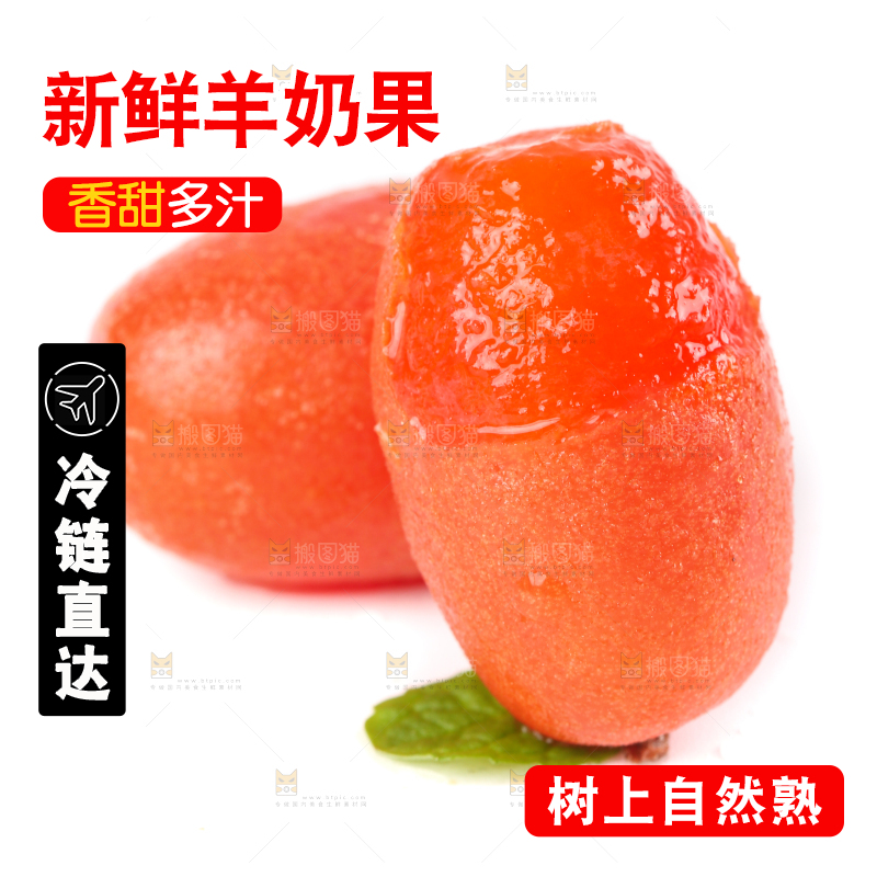 白底上的云南羊奶果